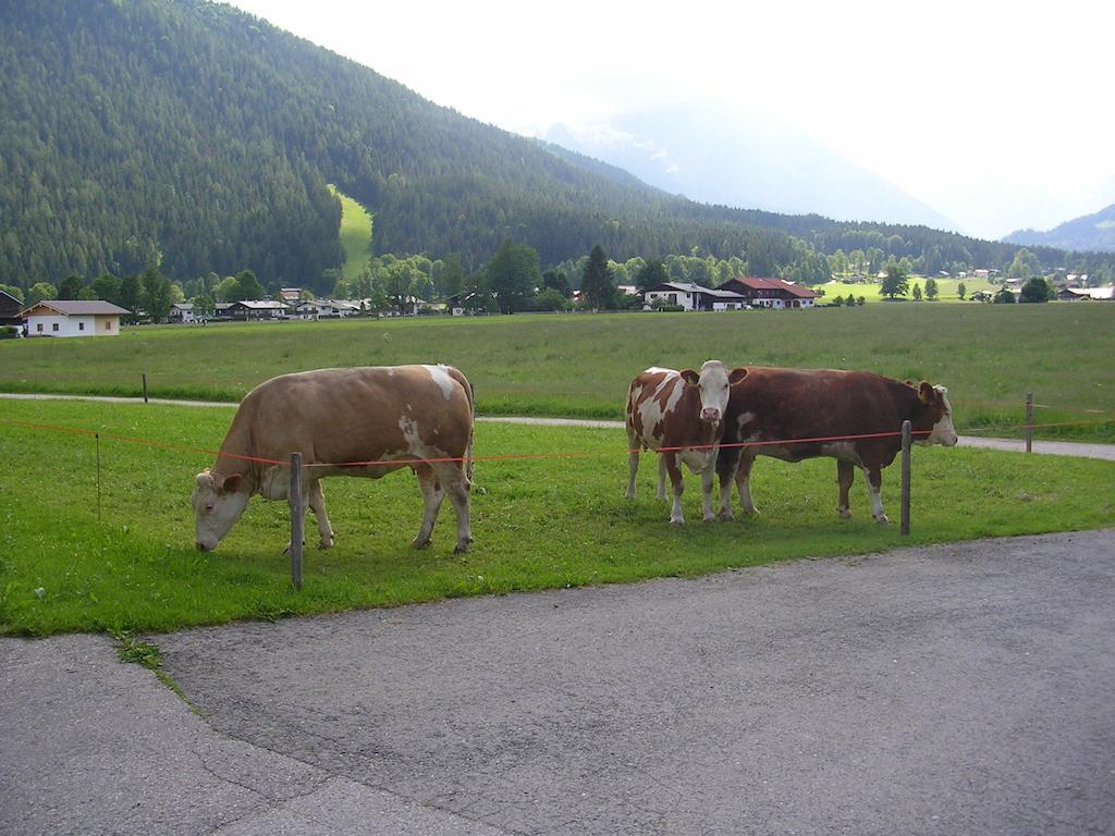 Gaestehaus Bodnerlehen Hotel Schonau am Konigssee Ruang foto